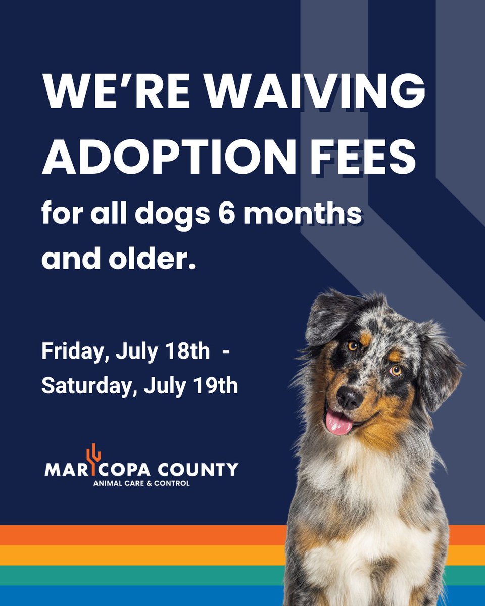 We're ending #EmptyTheShelters this month with a bang! 💥Today and tomorrow, July 19, we're waiving adoption fees for all dogs 6 months and older. Come on down to find your new best friend!

Learn more at Maricopa.gov/Pets.