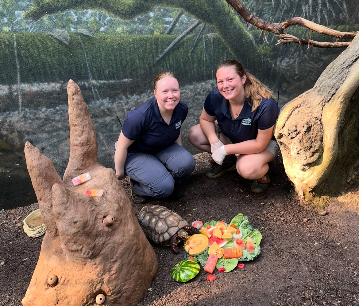 buffalozoo's tweet image. As part of National Zookeeper Week, we’re spotlighting a Buffalo Zoo keeper team each day! Today, we feature our Rainforest Team!

Our Rainforest Team oversees all of the animals who reside in our M&amp;amp;T Bank Rainforest Falls exhibit, including our anteater, howler monkeys and more!