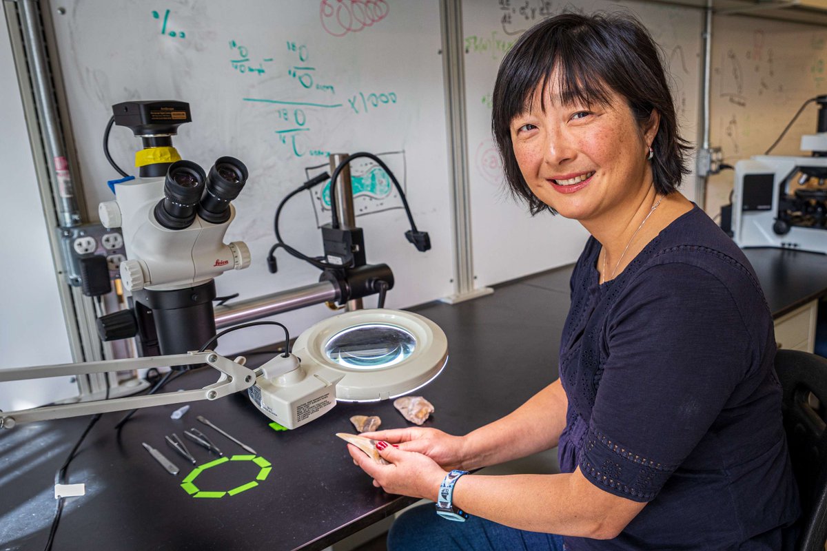 ucmerced's tweet image. Swimming with a Nile crocodile isn’t for everyone, but Professor Sora Kim called it a highlight while filming “Jaws vs. Mega Croc” for @SharkWeek! 🦈 Catch her episode Monday at 9 p.m. and read more here: ucm.edu/oeqnw6