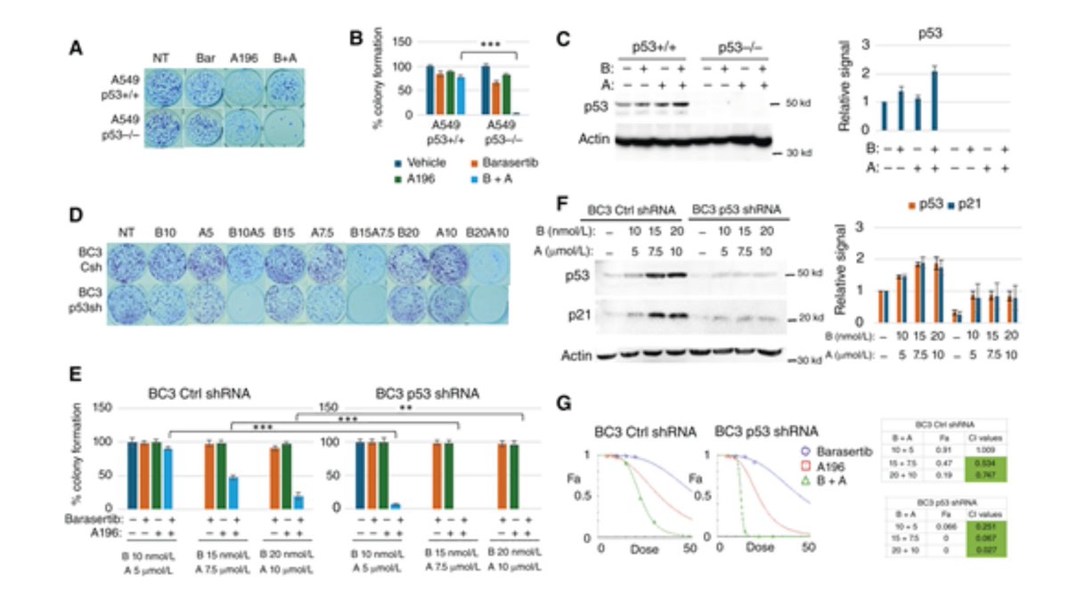 MCT_AACR's tweet image. Coinhibition of Aurora Kinase B and SUV4-20H Induces Synthetic Lethality in Wild-type p53-Deficient Cancer Cells: brnw.ch/21wUfPW