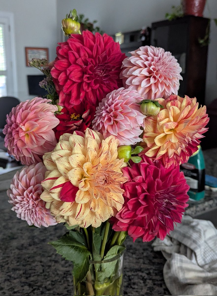 chaoticmulti's tweet image. Colors lately