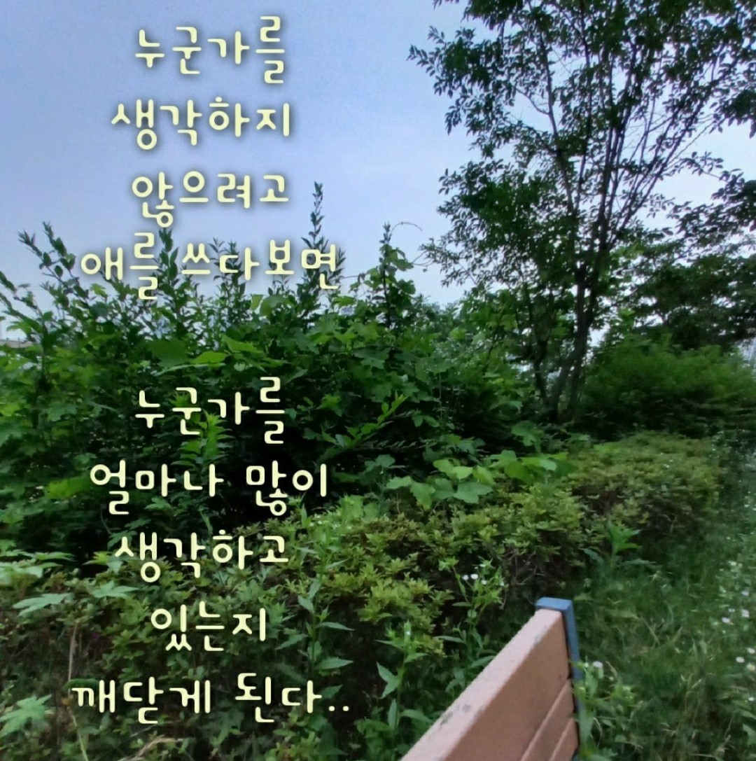 놔 the 소형외제차콤 (@zzangnofu) on Twitter photo 