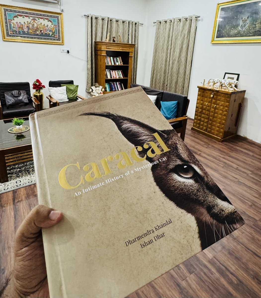 What a pleasure to receive this wonderful book; #Caracal. Such a detailed writing with impressive documentation of this elusive and beautiful cat species from #India. Kudos to writers and contributors. Do you know where in India we can find the Caracal?

<a href="/IshanDhar/">Ishan Dhar</a> <a href="/dharmkhandal/">dharmendra khandal</a>
