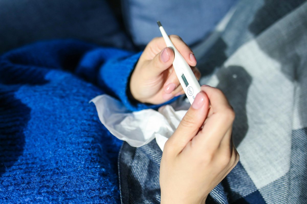 📌Cuándo y cómo tratar bien la fiebre por el equipo de @pacientsemergen 
f.mtr.cool/ashrxjqqse
#Fiebre #Salud