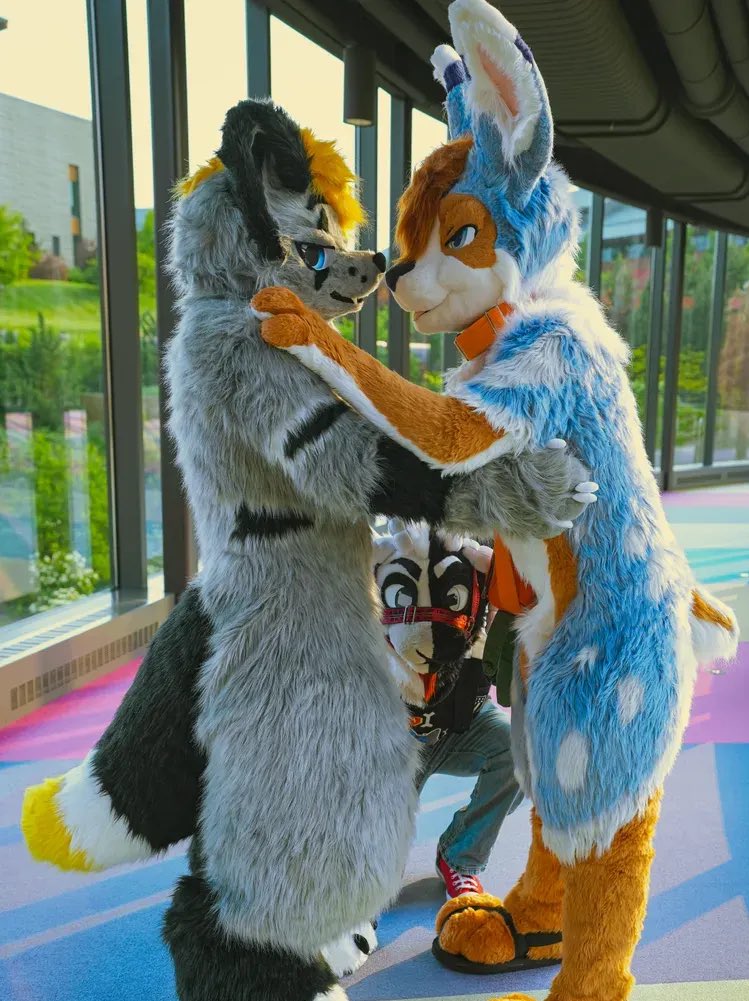 Oren🔆🔜FWA (@orenwoof) on Twitter photo 🐺“He’s down there isn’t he?”
🐰“Yep”
📸: <a href="/AhziDawg/">Ahzi Dawg 🔜 MP</a> <a href="/Tiger_Bunni/">Jasper / Minnow</a> 🐺“He’s down there isn’t he?”
🐰“Yep”
📸: <a href="/AhziDawg/">Ahzi Dawg 🔜 MP</a> <a href="/Tiger_Bunni/">Jasper / Minnow</a>