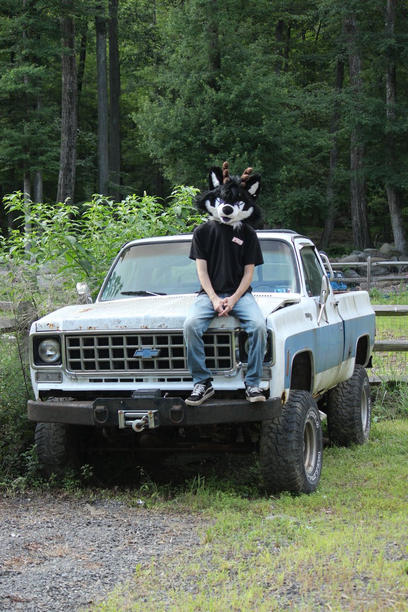 this time on roadkill… 🛠️

📸: @ garnet_mx5 

#FursuitFriday