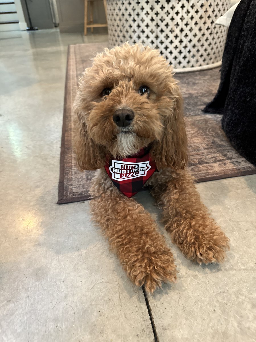 Who else's dog loves 🍕?