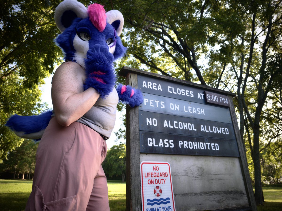 Blinkums's tweet image. She forgot her leash for walkies today 🦮
✿
🪡: @SuitFurself
#FursuitFriday