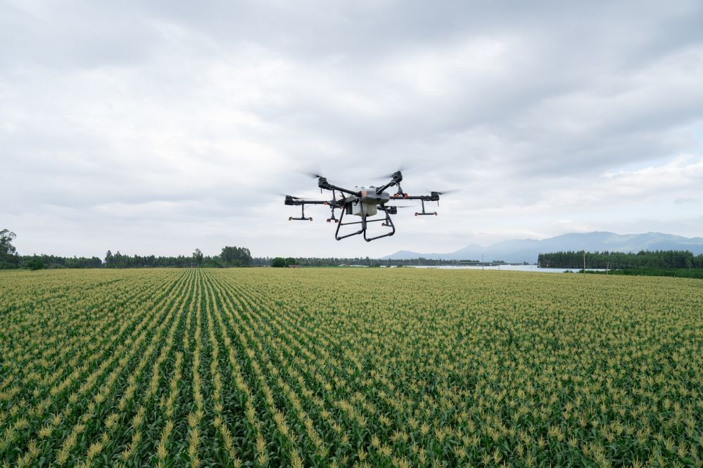 EWatsonWrites's tweet image. Ag spray #drone market disruption looms as deadline approaches for gov’t review of @DJIGlobal models agfundernews.com/ag-spray-drone…