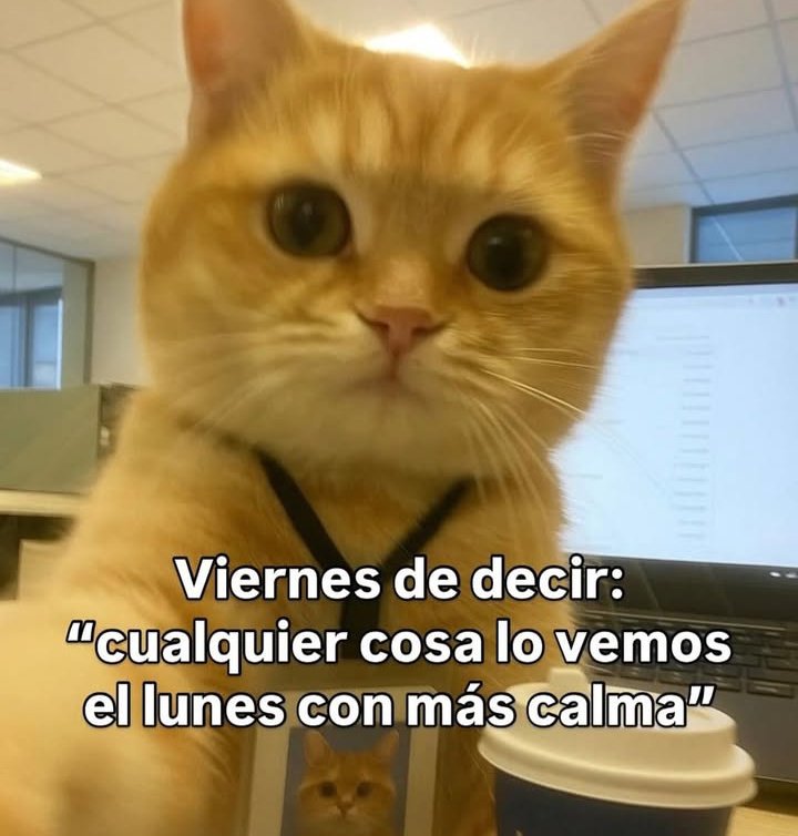 LaRepelente's tweet photo. 🙂‍↔️ https://t.co/m5jy6kjt8V