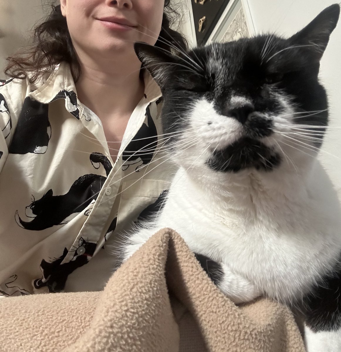 chateaudechat's tweet image. Are you wearing the—
The Mr. Kitty’s biggest fan linen button down? Yea I am.