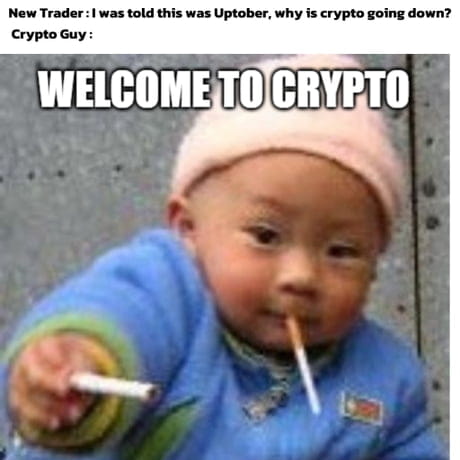 CryptoiTech's tweet image. $BNB 
New Trader: I was told this was $Uptober, why is crypto going down?🥲
Crypto Guy:😎
WELCOME TO CRYPTO😁