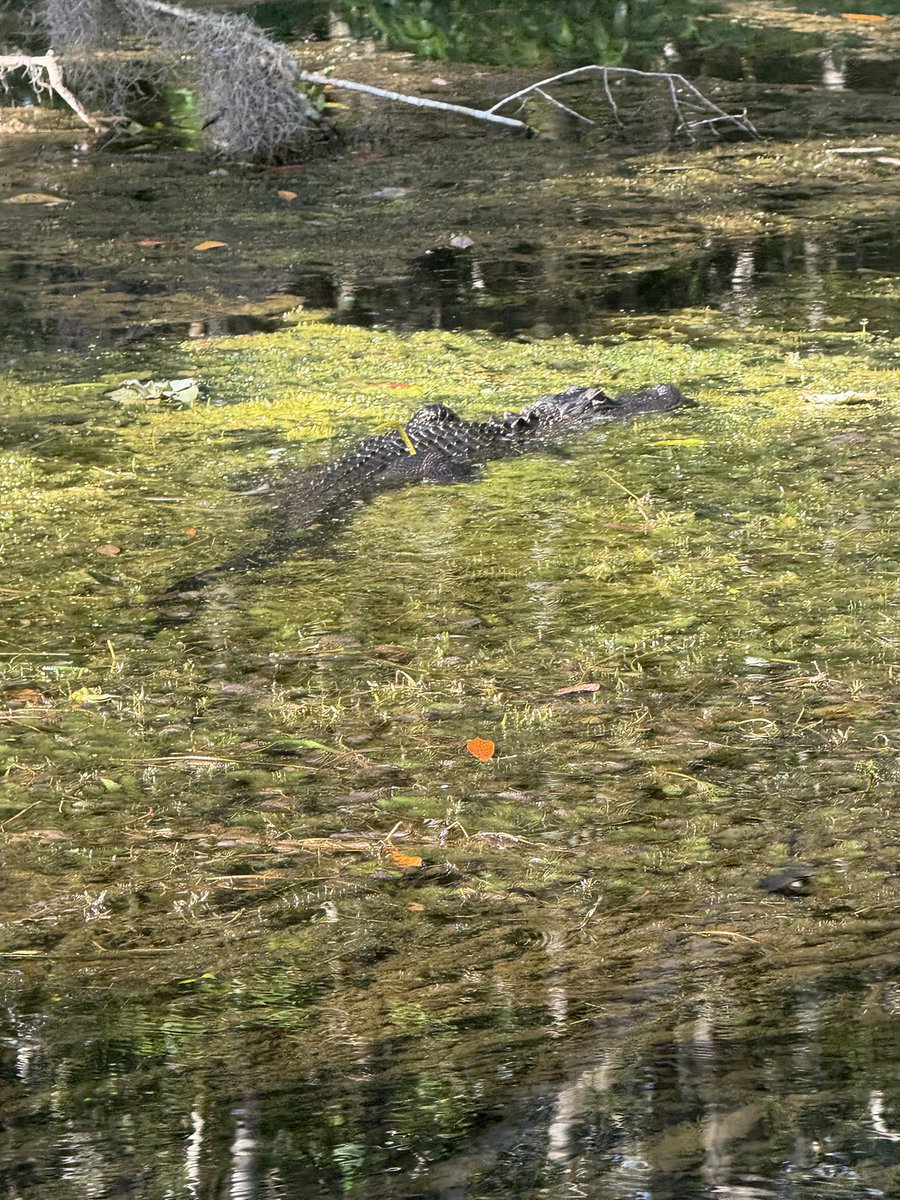 Stephen Ponder tweet media