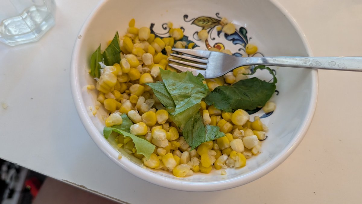 huangkm's tweet image. Joy of life, When found out corn only costs 33 cents. I went grocery shopping like a Chinese Grandma 👵