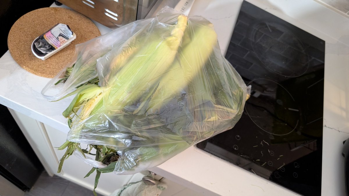 huangkm's tweet image. Joy of life, When found out corn only costs 33 cents. I went grocery shopping like a Chinese Grandma 👵