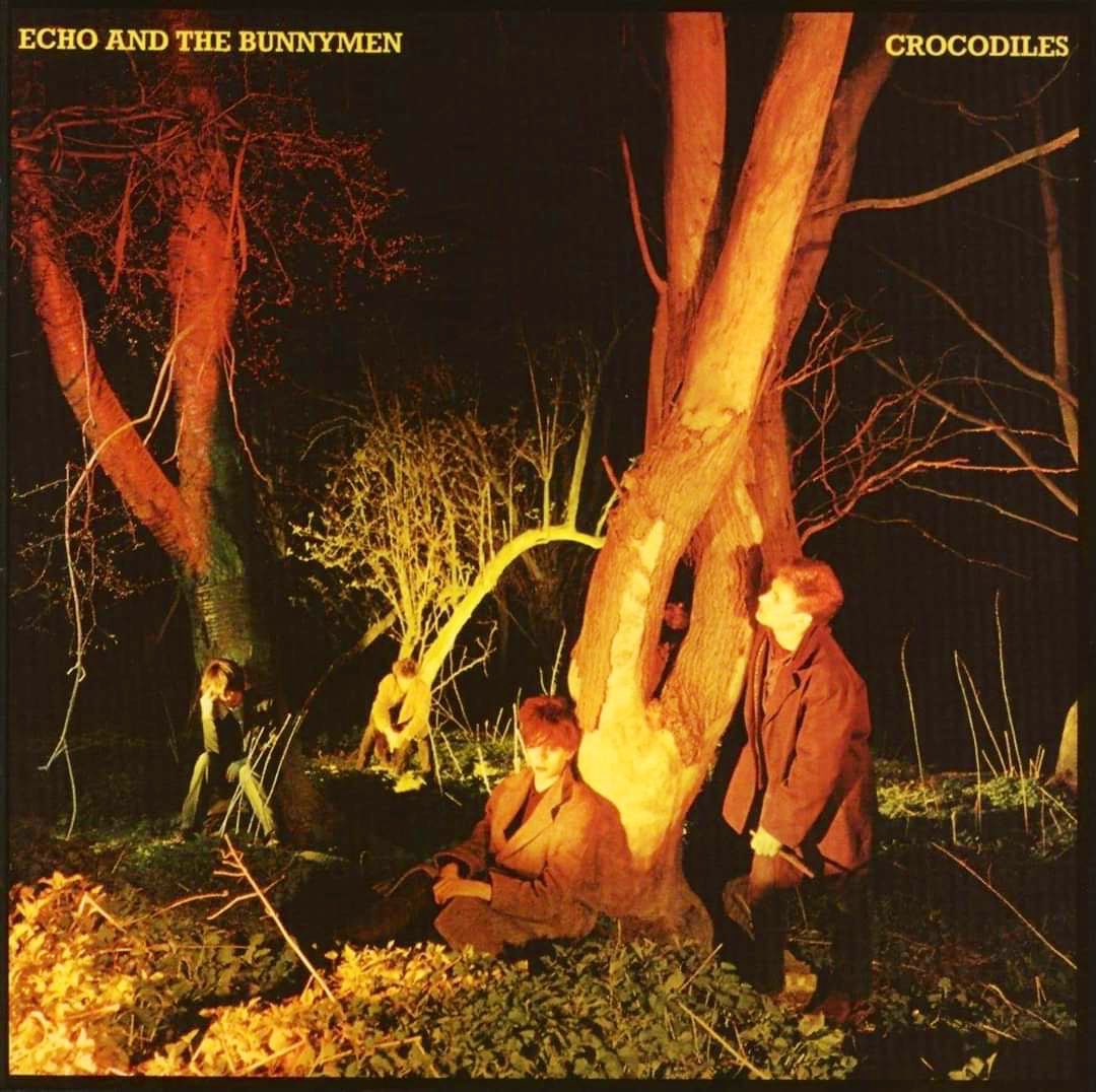JakeRudh's tweet image. On this day in 1980, Echo and The Bunnymen released their debut studio album “Crocodiles” featuring singles "The Pictures on My Wall" and "Rescue"