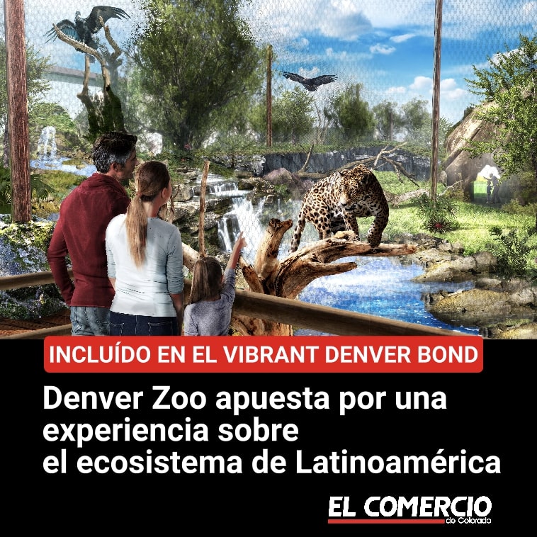 ComercioCO's tweet image. #DenverZoo apuesta por una experiencia sobre el ecosistema de Latinoamérica.
elcomerciodecolorado.com/denver-zoo-apu…