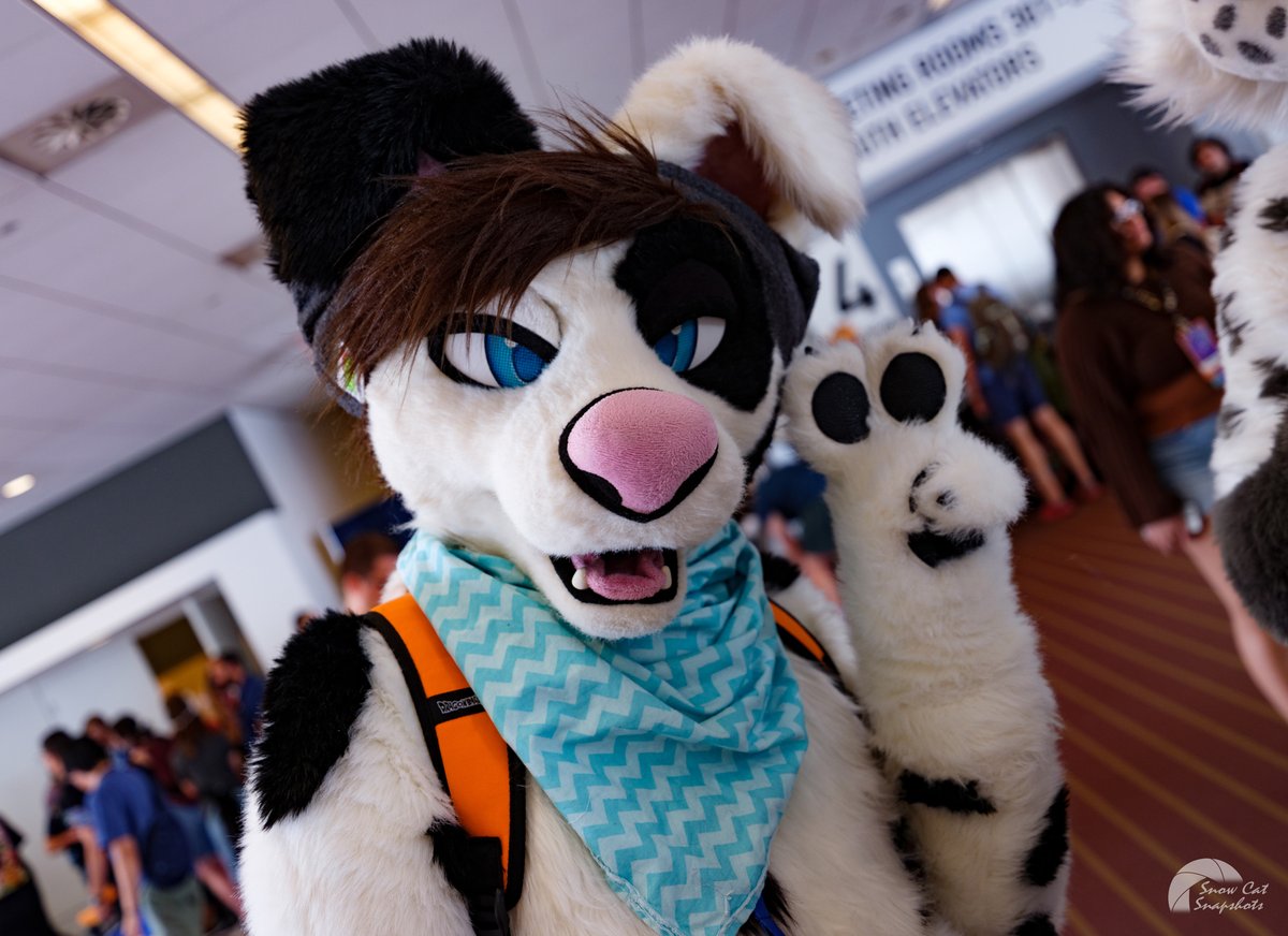 Happy #FursuitFriday!

Hope everyone has an amazing weekend! 💕

📸 <a href="/HeliosSnowCat/">Helios</a>