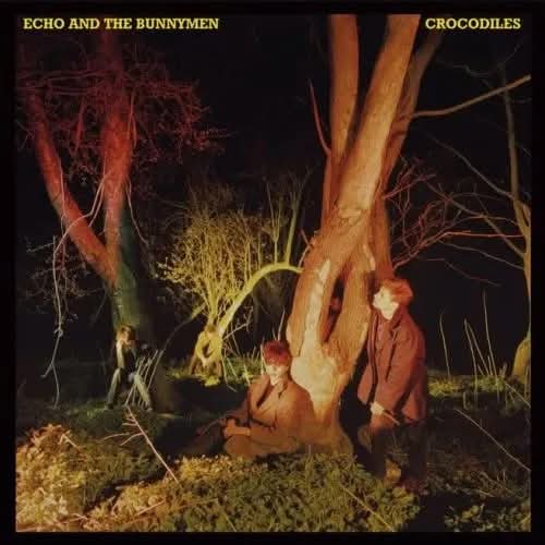 ColinW83's tweet image. Released 45 years ago today.
#crocodiles #echoandthebunnymen #korovarecords