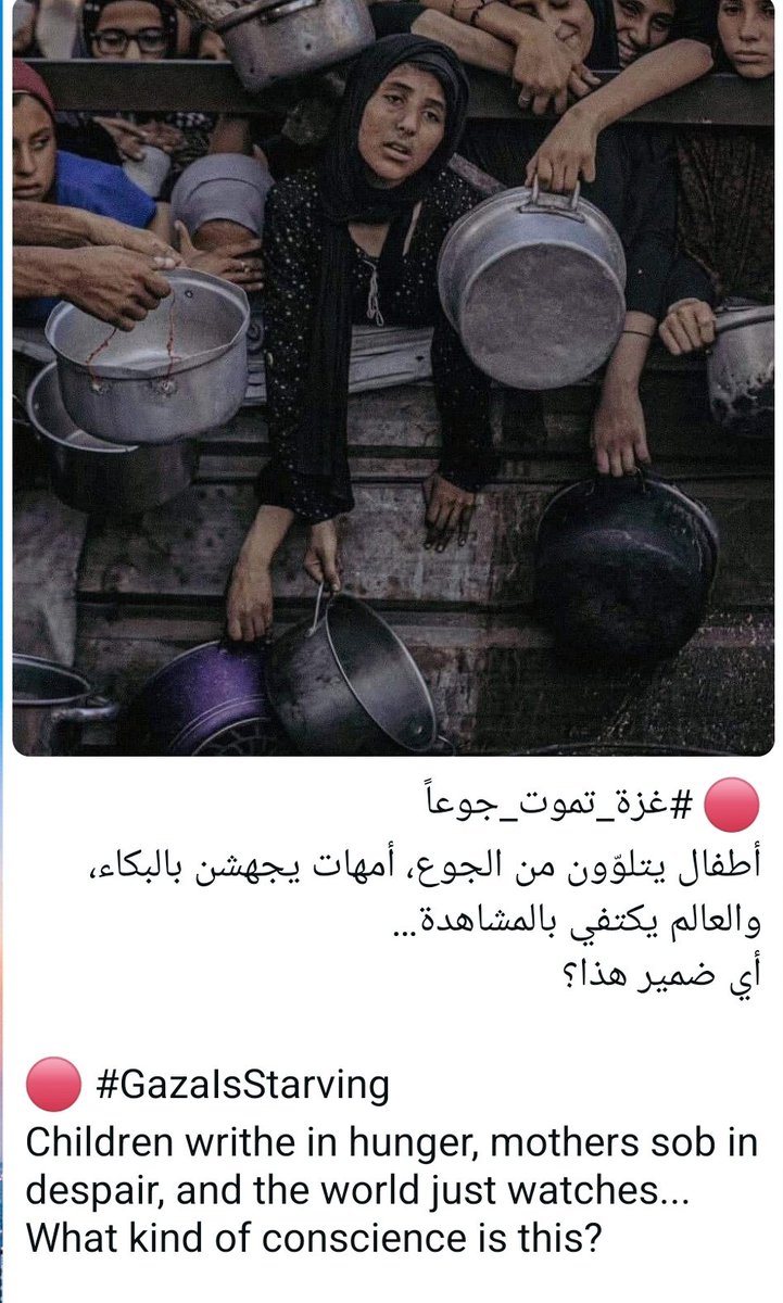 Fatma Saeed (@fff777tm) on Twitter photo 