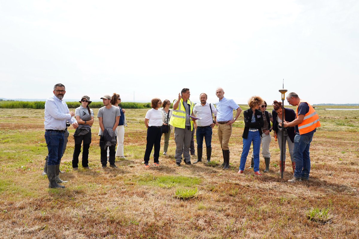 Prefet76's tweet image. 🚨L’introduction et la propagation des espèces exotiques envahissantes (EEE) constituent une des principales menaces pour la biodiversité.
🌼Récemment, la Maison de l'Estuaire a découvert la présence de Jussie à grandes fleurs, espèce exotique envahissante, dans la Réserve…