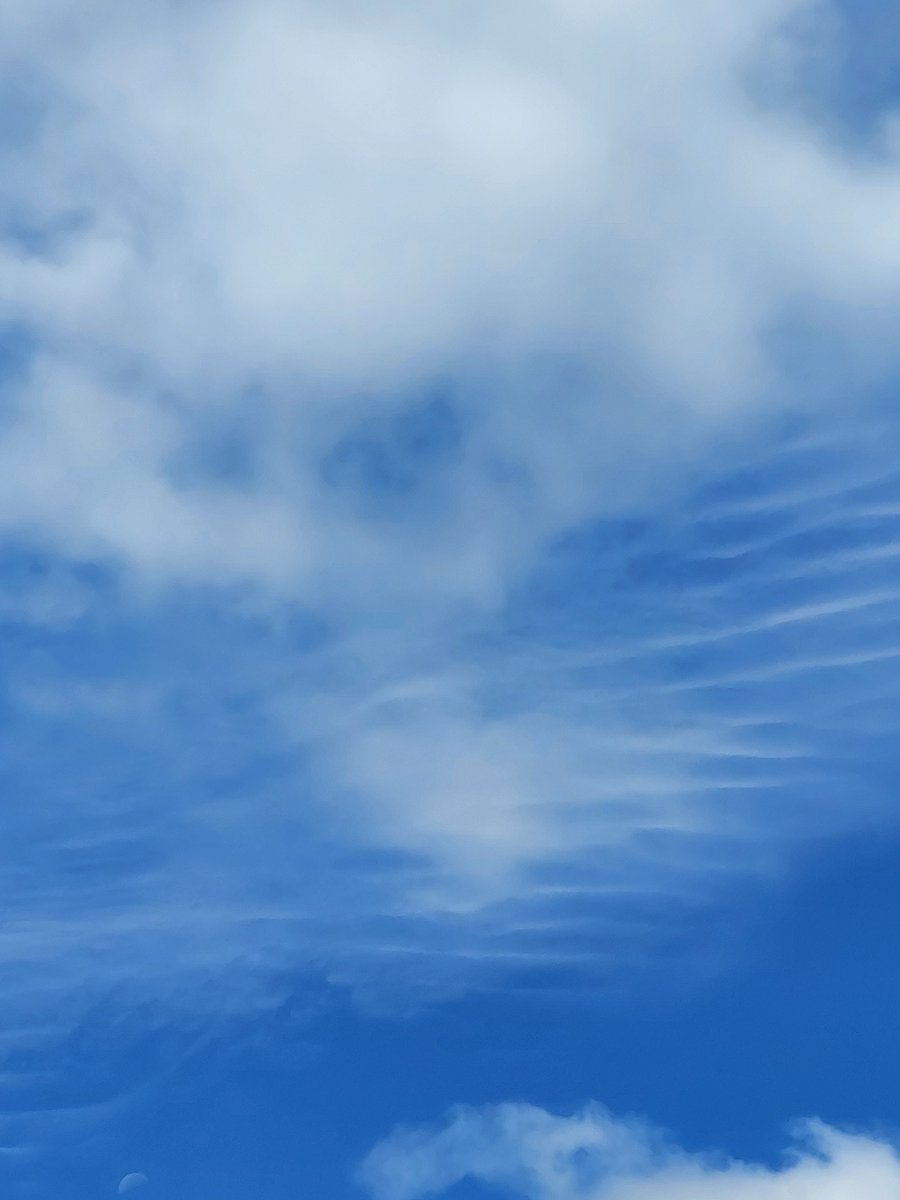 PanicMike13's tweet image. Western Massachusetts