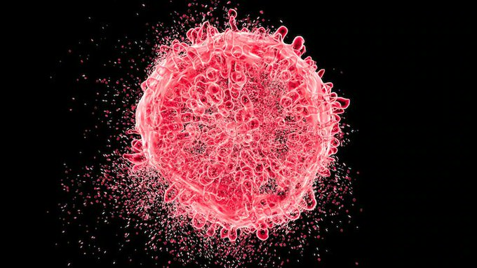 Bu Thomas Seyfried.  

Kendisi 30 yılı aşkın süredir kanser üzerine çalışan bir biyoloji profesörü.  

Mesajı nedir? Kanser kötü genler ya da kötü şans değil, hasarlı mitokondridir.  

Bu, kanserin nasıl tedavi edileceği ve önleneceği hakkında size söylenen her şeyi tersine