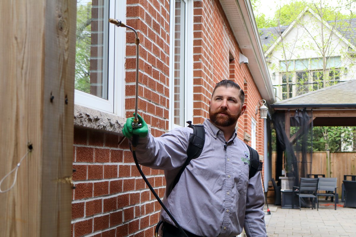 No more creepy crawlers! One of our Skedaddle technicians was on site today helping this homeowner stay spider-free with a preventative exterior spray. 💦🏠 Want to keep spiders out of your home this season? We’ve got you covered — the humane way. 👊 #pestcontrol #skedaddle