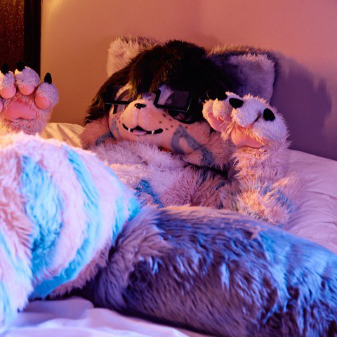 Dunno about you, but I’m ready to have a lazy #FursuitFriday 😸

📸<a href="/tullembrat/">Tullem🔜AC</a>
