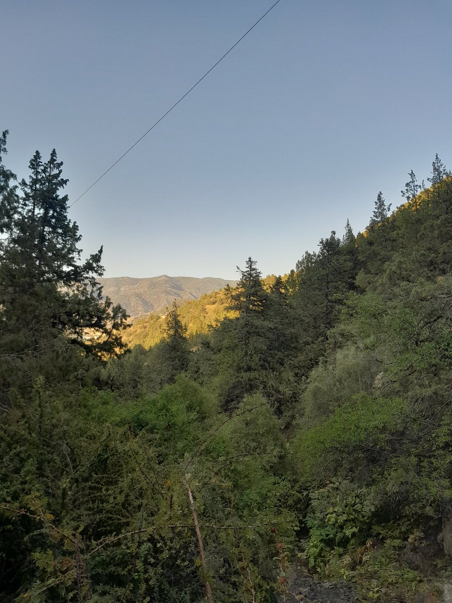 plossxon's tweet image. Oʻrmonga bordik bugun