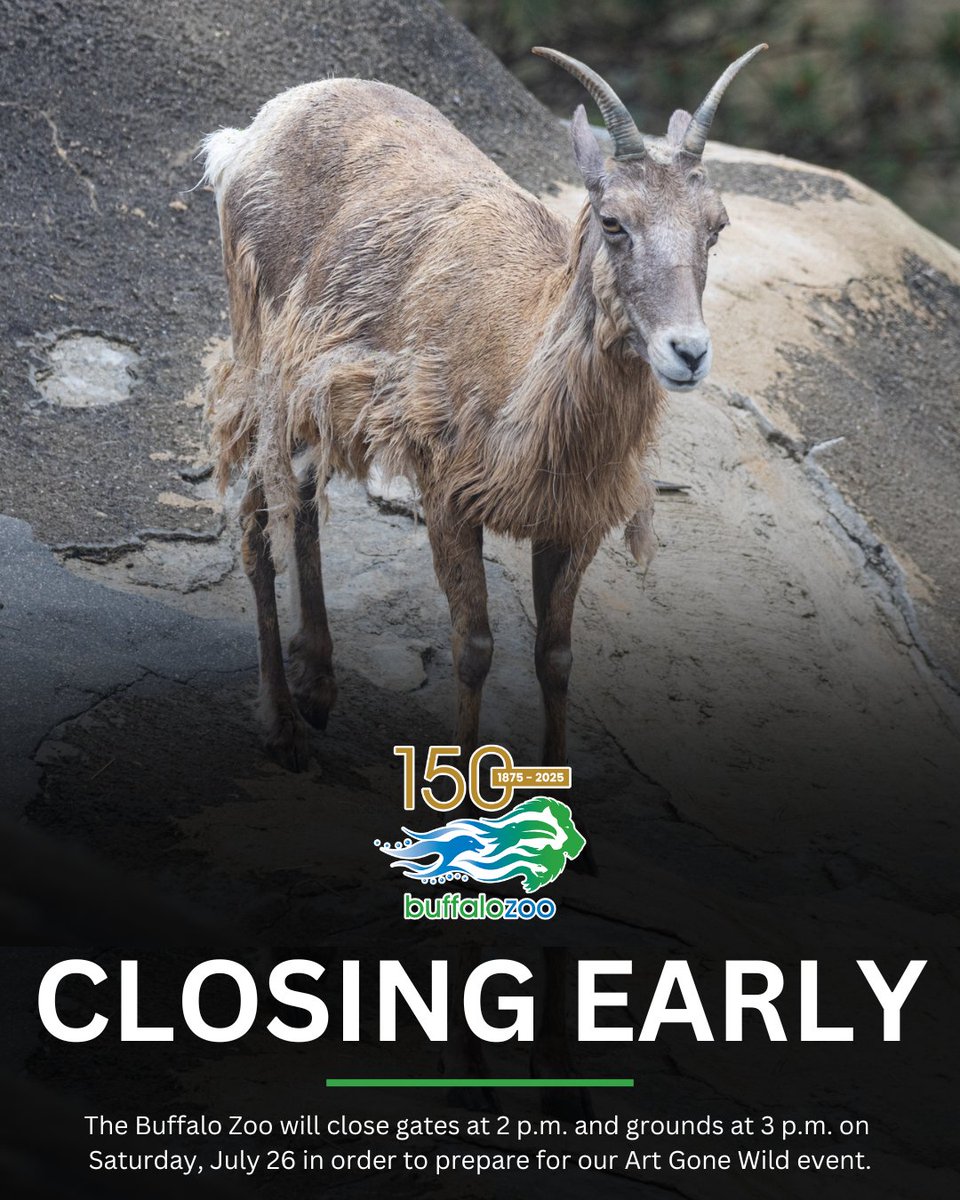 buffalozoo's tweet image. 🚨 Heads up! The Buffalo Zoo is closing early, gates at 2 p.m. and grounds at 3 p.m., on Saturday, July 26 to prepare for this evening&apos;s Art Gone Wild event.

🎟️ 🎨 Get your last minute Art Gone Wild tickets here: bit.ly/463h9RY
