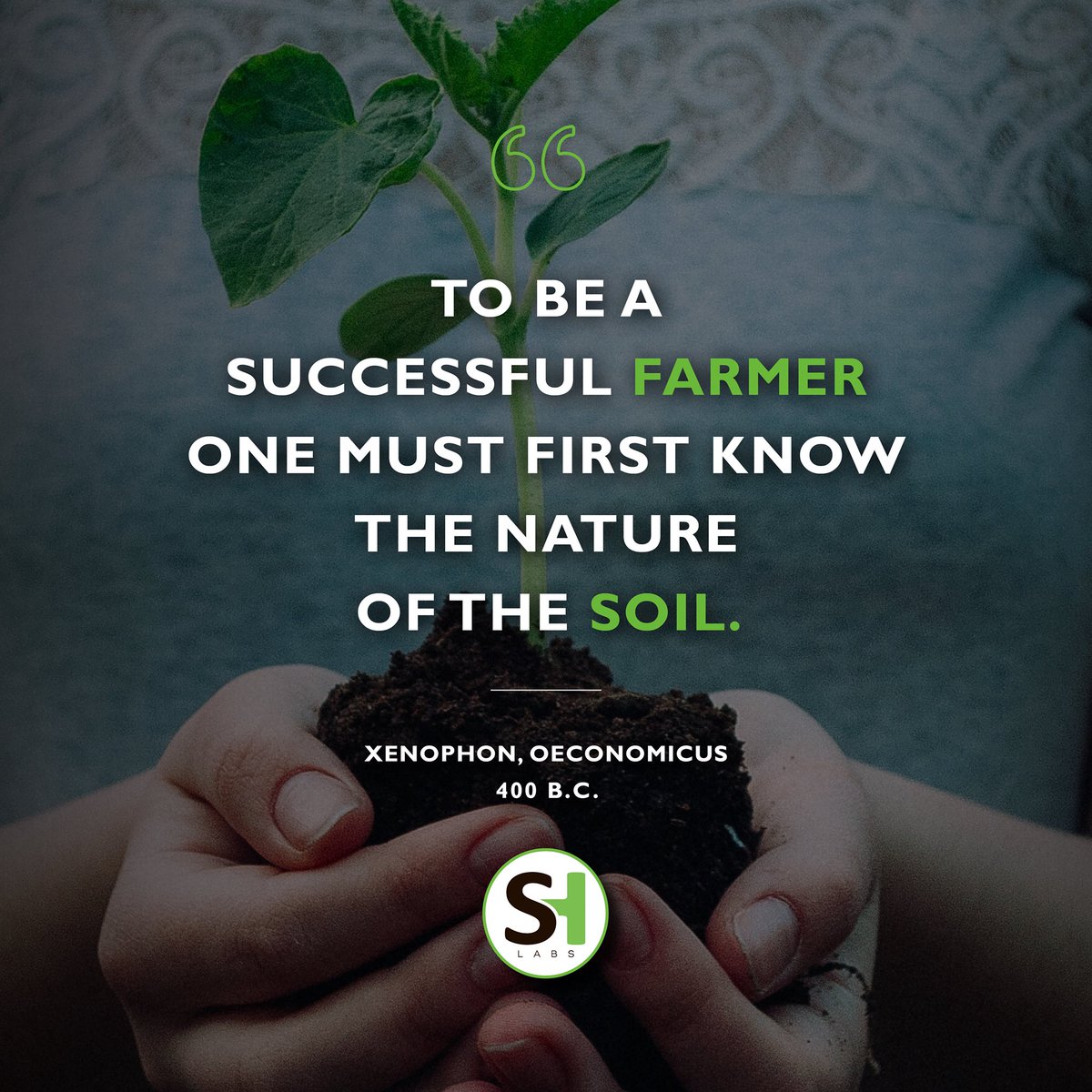 SoilHealthLabs's tweet image. 🧠 Mindset shift:

Success doesn’t start with yield—it starts underground.

Soil isn’t just a medium—it’s a living system. The texture, structure, biology, &amp;amp; chemistry of your soil impact everything else.

👉 Learn more. Go here: soilhealthlabs.com