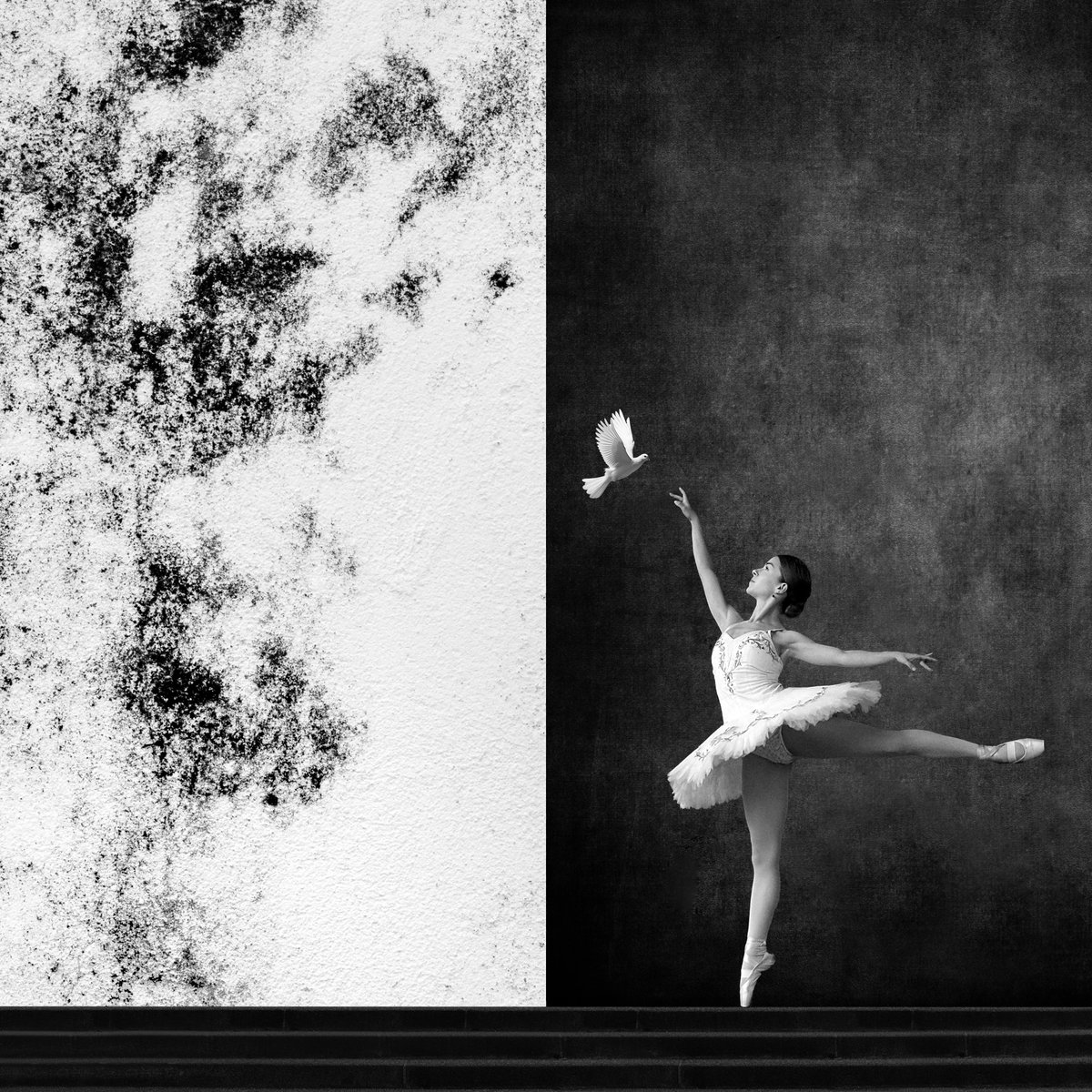 Public Sales is open 🔥

Within Reach ❤️
0.06529 / Mint Price 
You can collect more than 1 and you can save or sale 
LFG 

6529.io/the-memes/mint