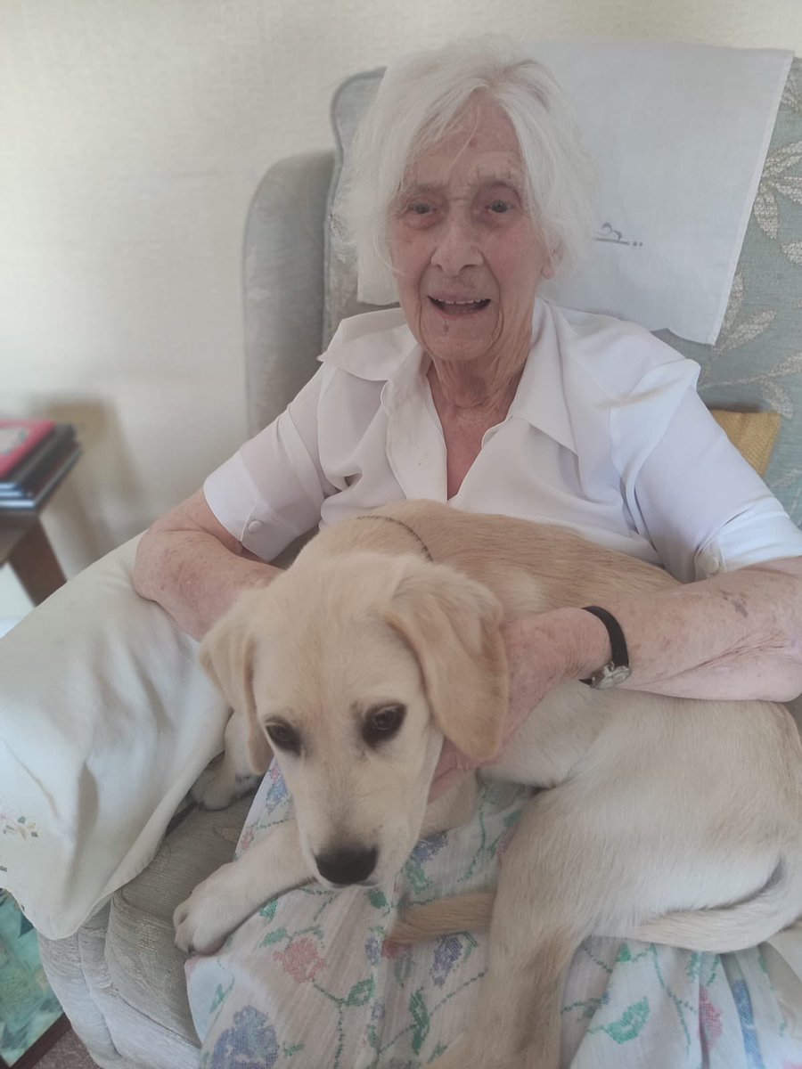 Chris,one of our volunteer befrienders paid a lovely visit to Phyllis with her training guide dog Xylon.

Thank you Chris for your ongoing commitment as a befriender for <a href="/XroadsCareSEL/">@xroadscaresel</a> &amp; for bringing a little extra joy into Phyllis’s day!
#socialinteractions