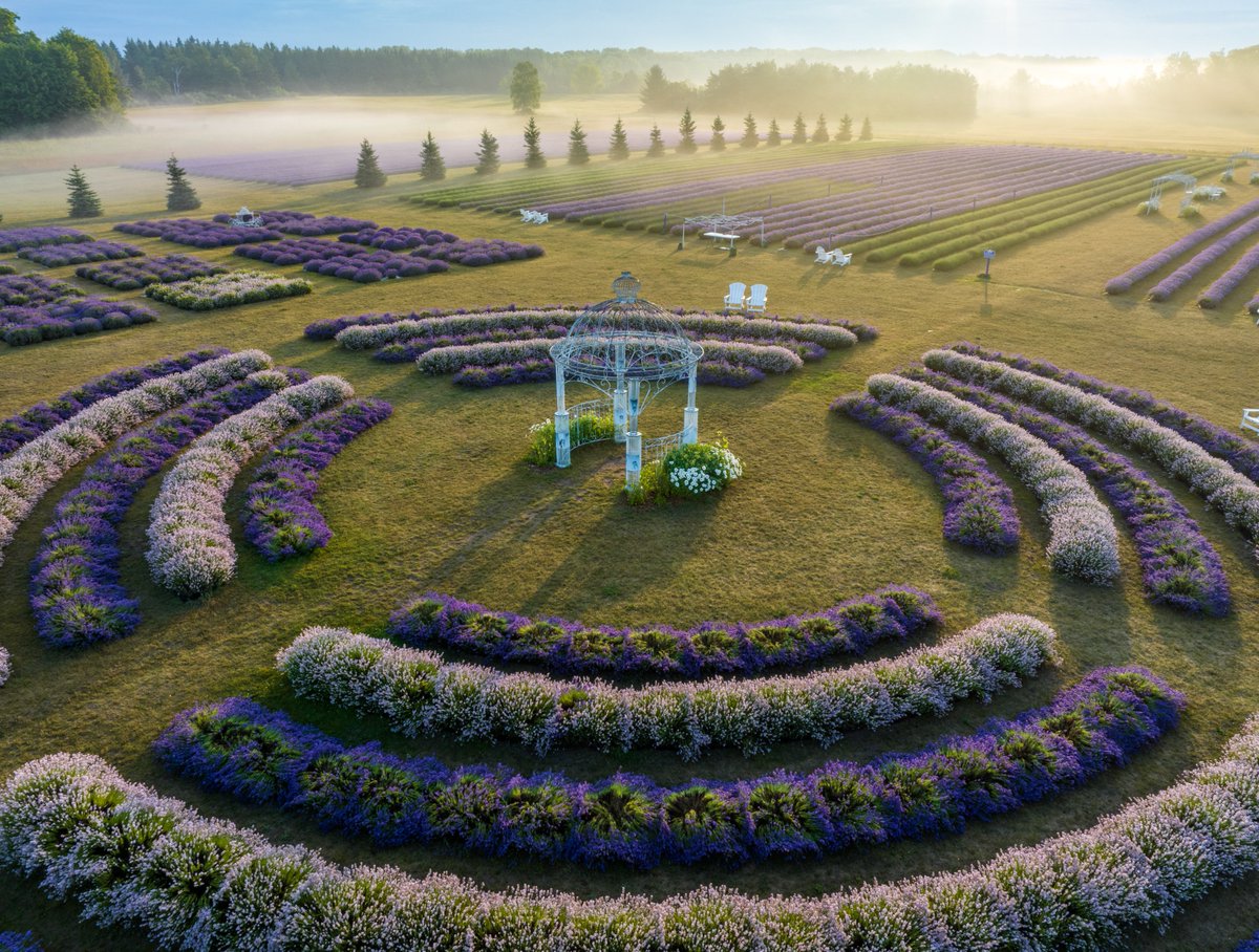 mydoorcounty's tweet image. It's lavender season in Door County 💜
📸 Fragrant Isle Lavender Farm and Shop