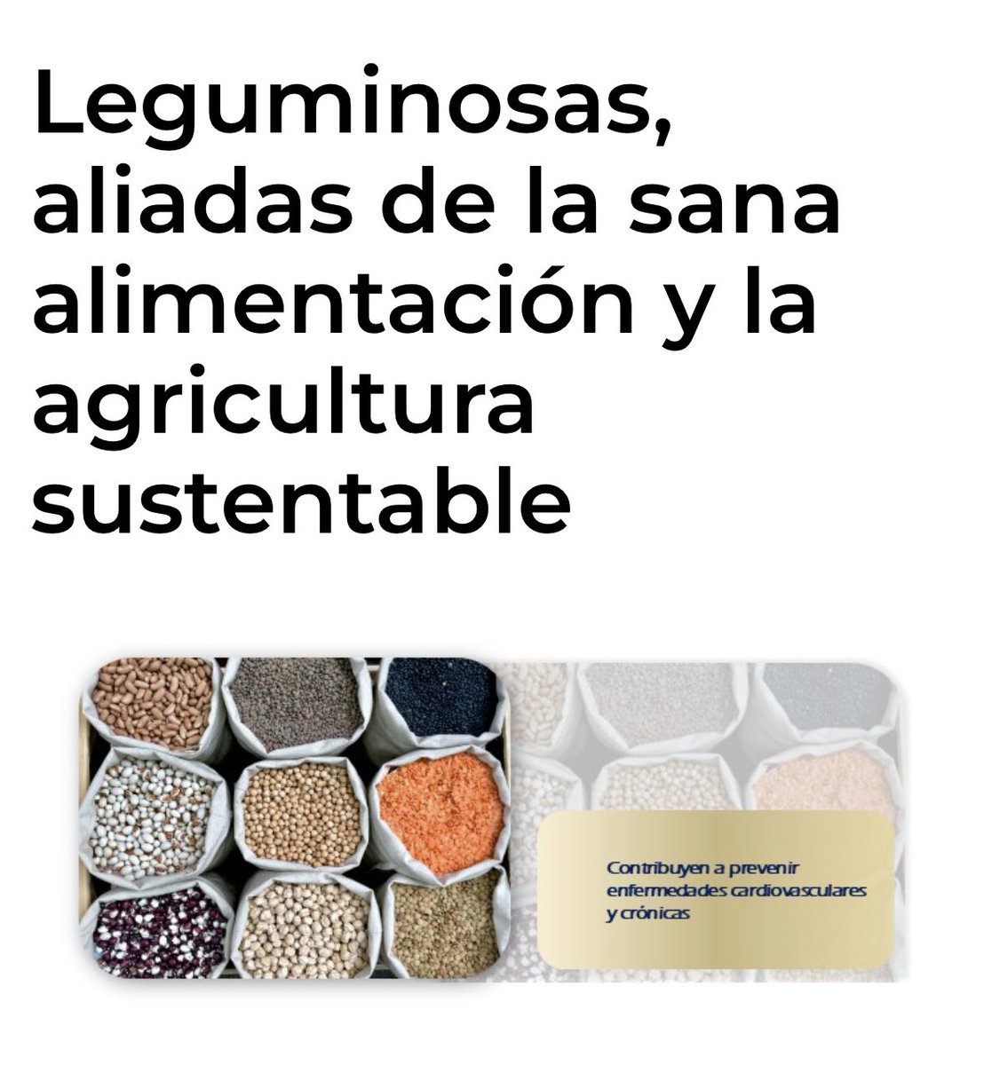 Comer leguminosas con regularidad contribuye a prevenir enfermedades cardiovasculares y crónicas, y mantener un peso saludable 🫘 

📝 Consulta: insp.mx/ultimas-notici… 

#ConsumeDelCampoViveFeliz
