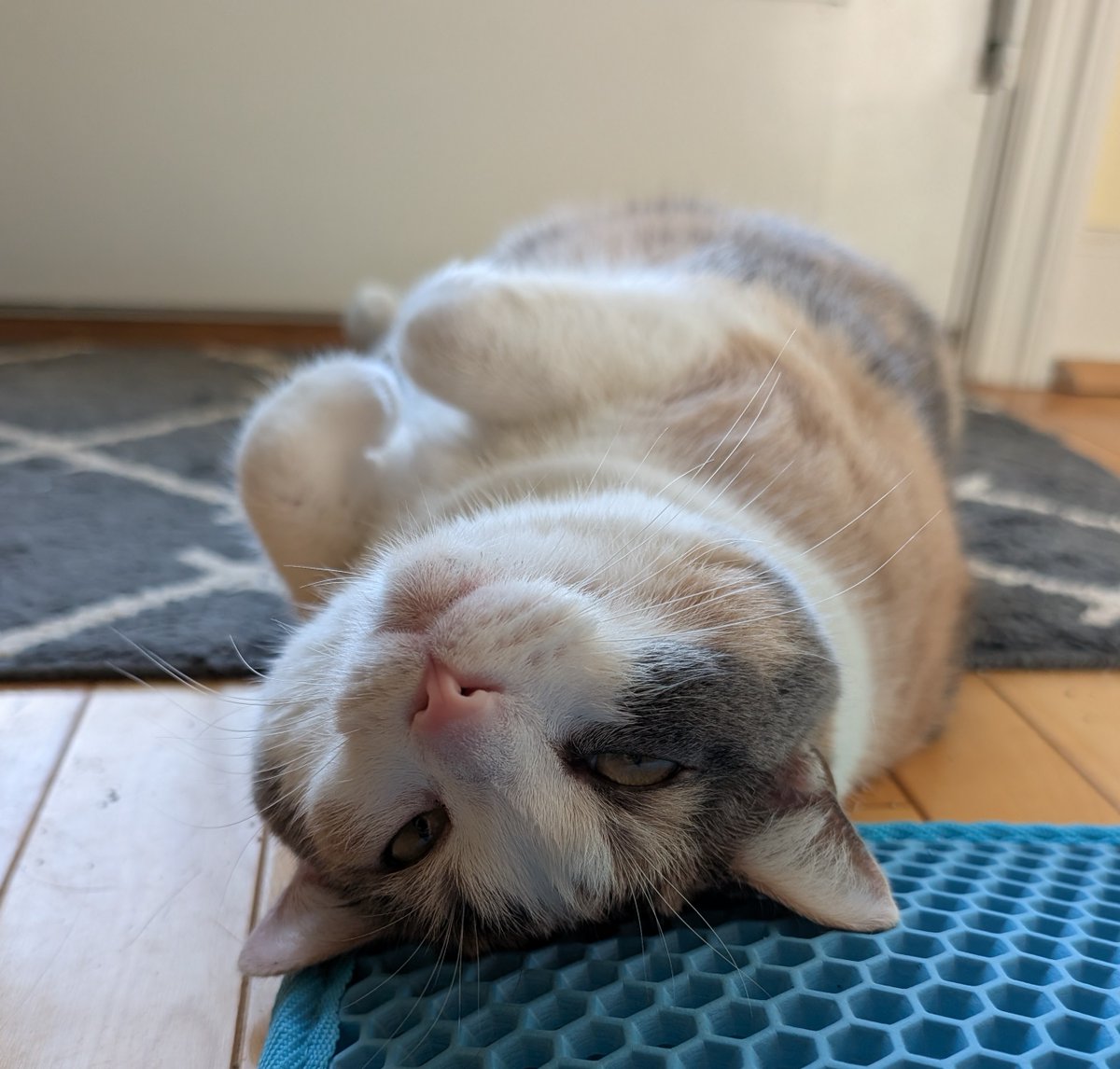 Gen z stare