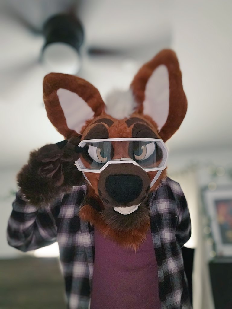 AlekYeeners's tweet image. yooo here's some goofy photos for #FursuitFriday :^)
hope you all stay safe and enjoy your day