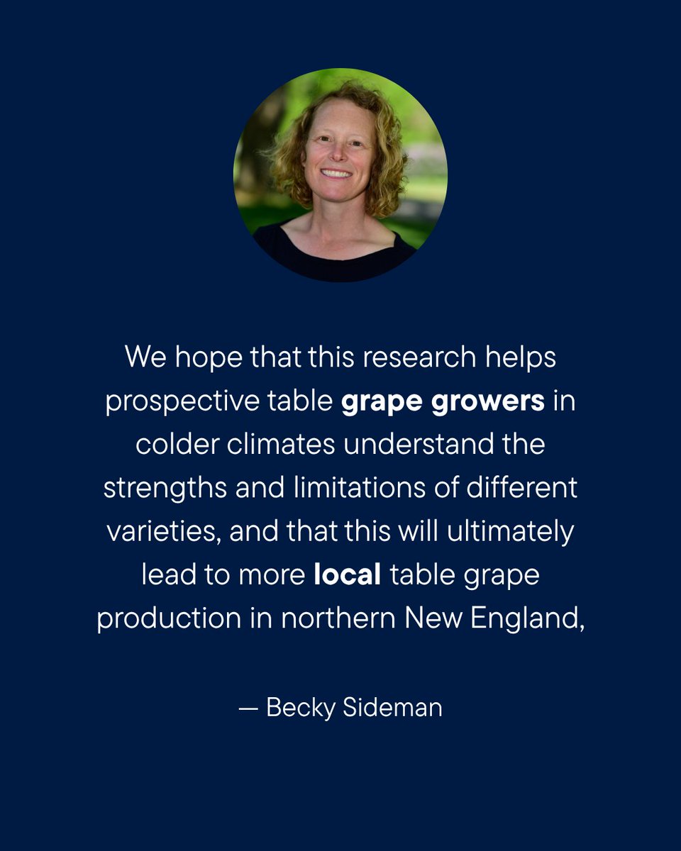 UNH Ag Research tweet media