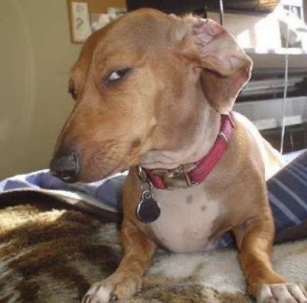 l0ttiehall's tweet image. Nah this edit making Harrison leaving looking like a hero… #loveisland