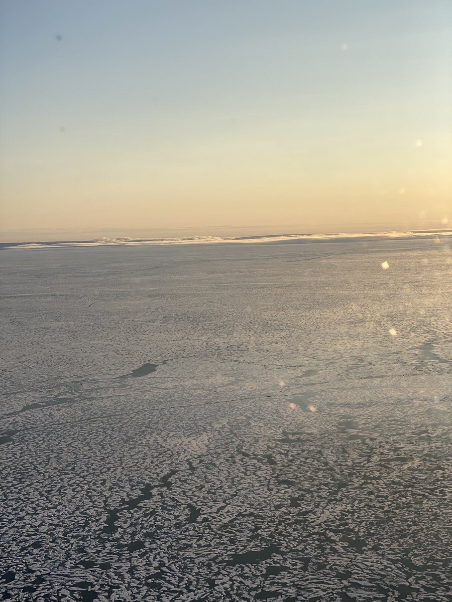 Summer in the Arctic. #sometsetisland #geosurvey #helilife