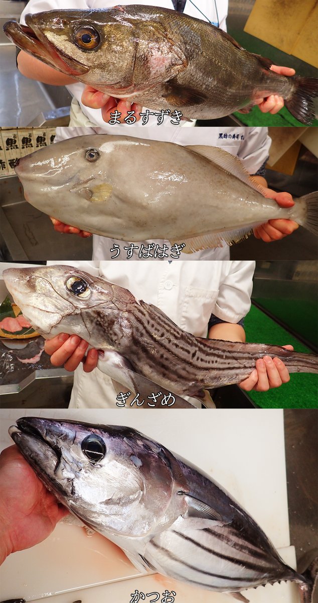 kyouzan_'s tweet image. 🥰#おはようございます 🥰
💖土用丑の日!💖
💖うなぎのにぎり半額やります!💖
🎯今日のおすすめ!🎯
✅かつおが美味しい!✅
✅サーモンの大とろあります!✅
✅️づけまぐろは本まぐろ使用!✅️
🍱週末の半額メニュー!🍱
🔴【大とろづくし】🔴
🔴【づけまぐろづくし】🔴
✨北海道産↓…