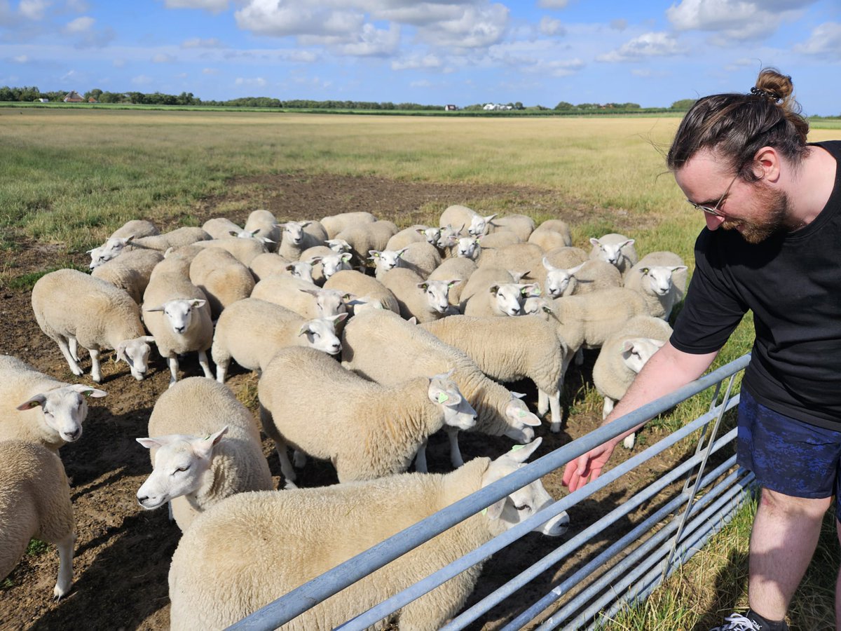 Matthijs Meulblok🎙🏳️‍🌈 tweet media