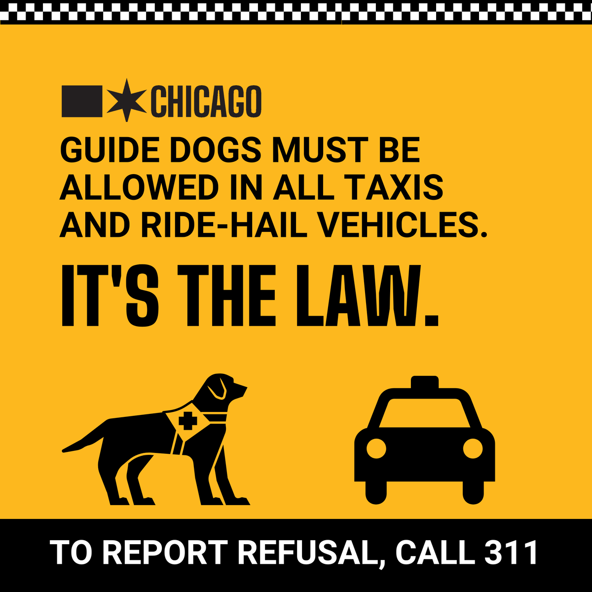 ChicagoBACP's tweet photo. FYI: All public chauffeurs (taxi, livery, ride-hail drivers) must accept passengers with guide dogs — it is City of Chicago law.

Report refusal of transportation service to 311, and learn more at https://t.co/fs2io61dCf. #NationalDisabilityMonth https://t.co/prG1y1GYjZ