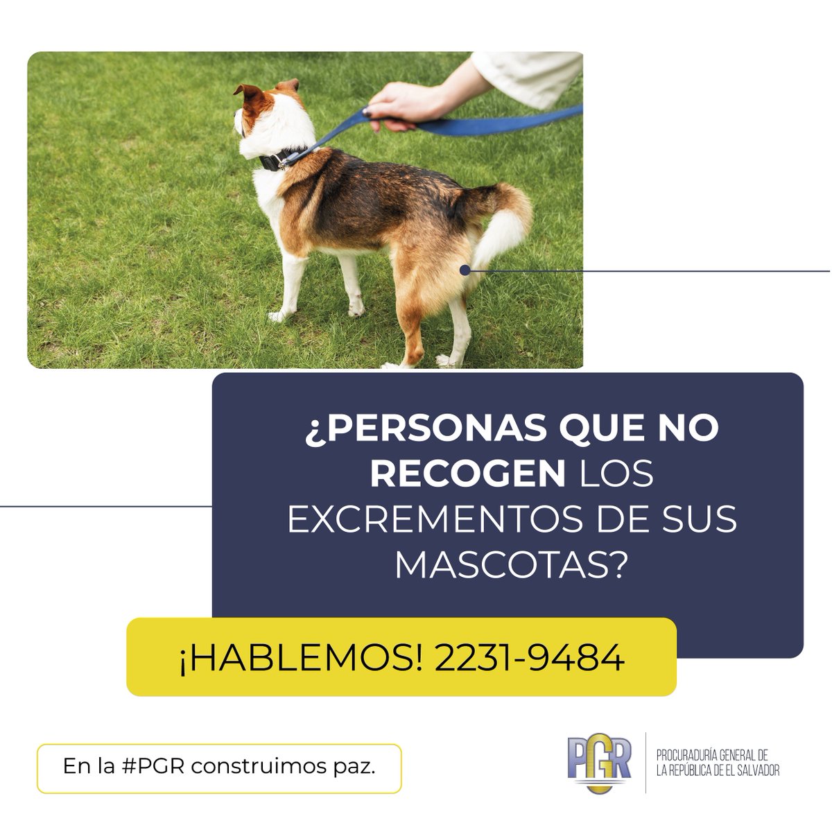 PGR_SV's tweet image. ¿Tienes conflictos con tu VECINA O VECINO y no sabes cómo resolverlos? ¡HABLEMOS!, visítanos en la Unidad de #MEDIACIÓN de la #PROCU más cercana a tu domicilio o llámanos a nuestro Centro de Atención Virtual CAVAL al: 2231-9484