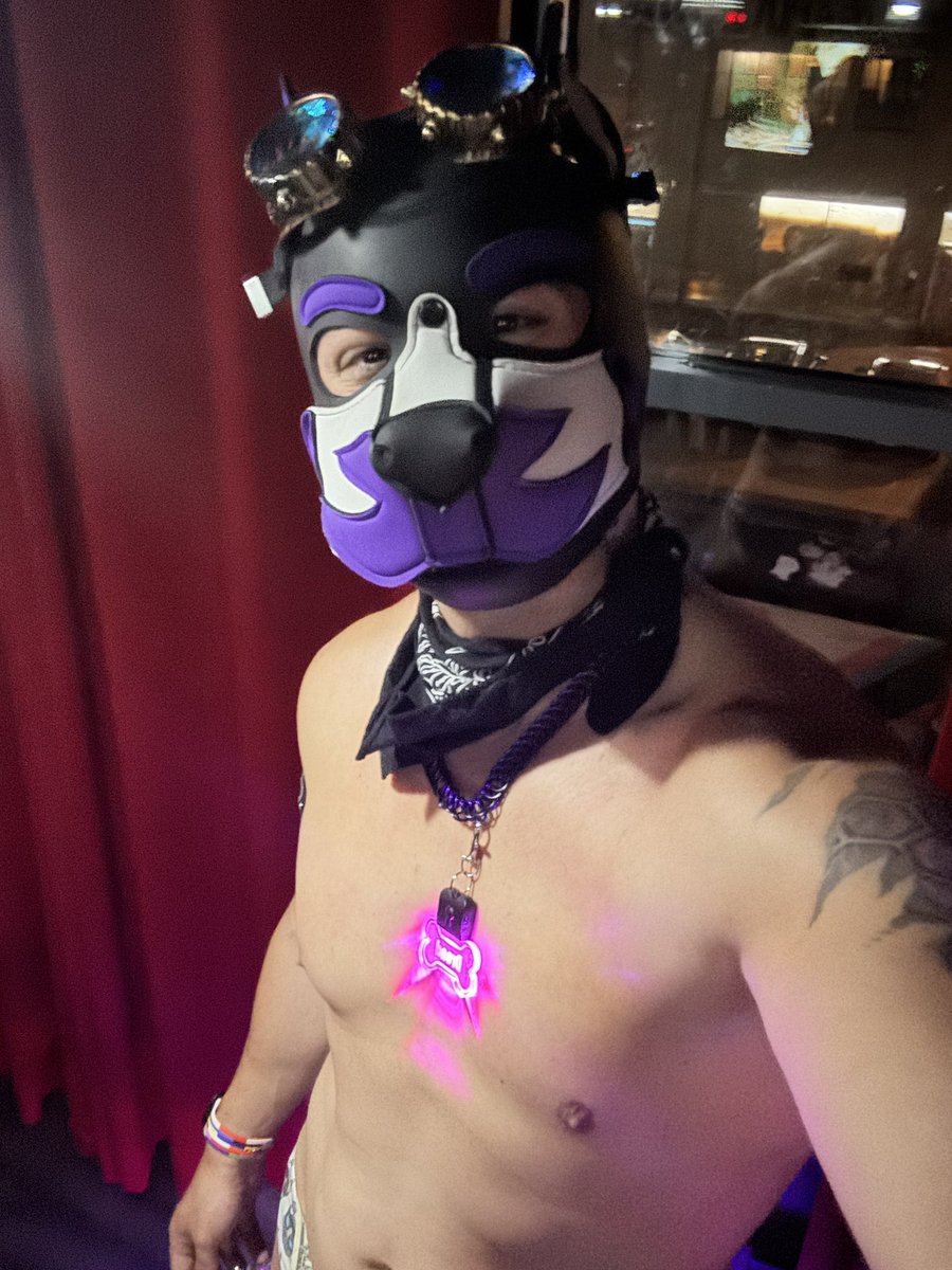 DreadfulDogg's tweet photo. What if I started posting again? 🥹 https://t.co/4x4GbKe4ID