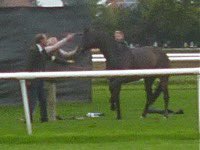 jmccann00's tweet image. 10:14 Gulfstream Kiss Cam