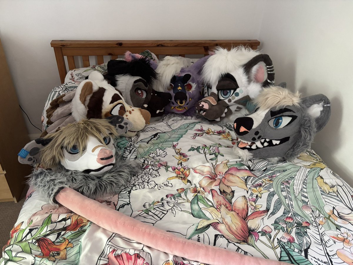PocketPoss's tweet image. Roomies
@kaitowilddogg @Dirty_burito @SvenrinSuits @Purple_Furplace @StopidKatt