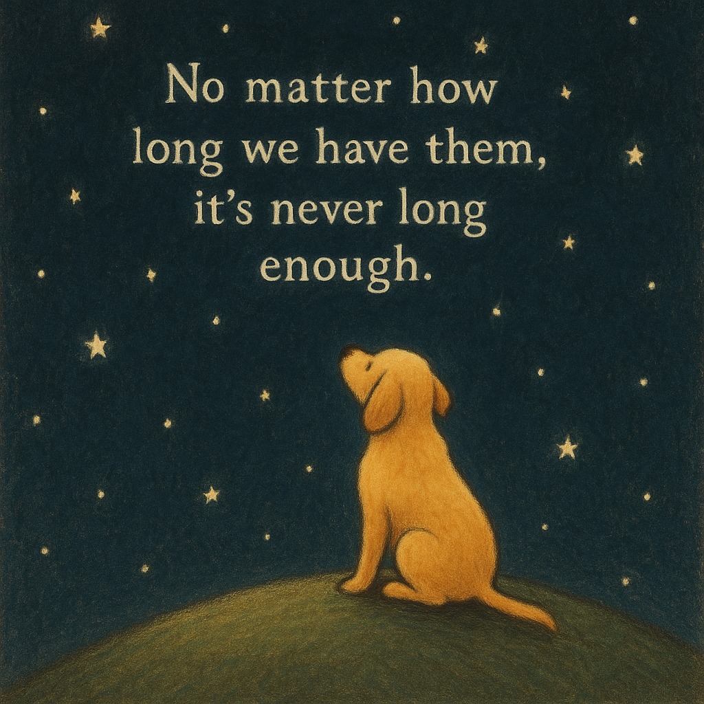 Dog Lovers (@doglovers03) on Twitter photo 