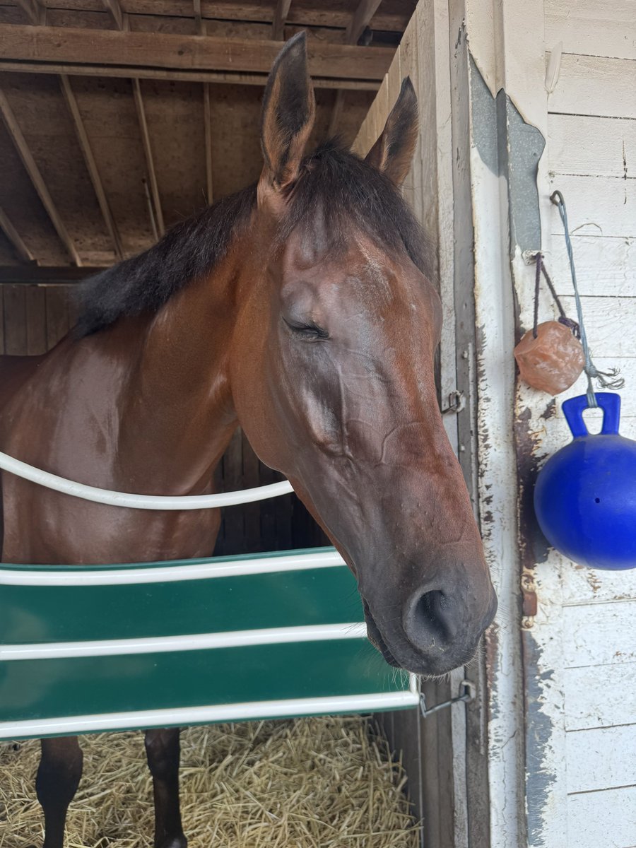 It’s a state of ✨mind✨